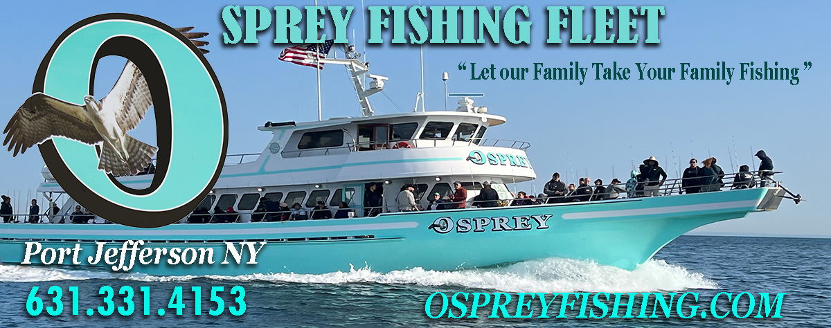 header-Osprey Fishing